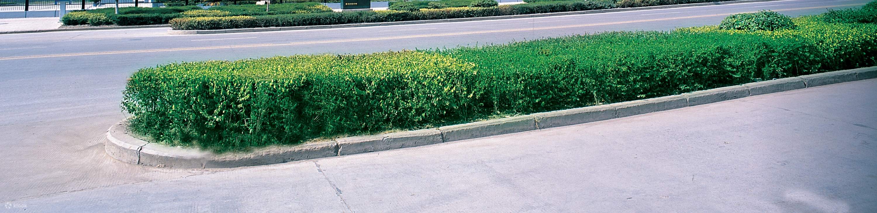 張家界市区～大峡谷ガラス橋間の貸切往復送迎